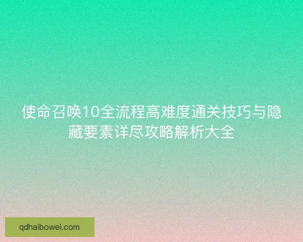 使命召唤10全流程高难度通关技巧与隐藏要素详尽攻略解析大全